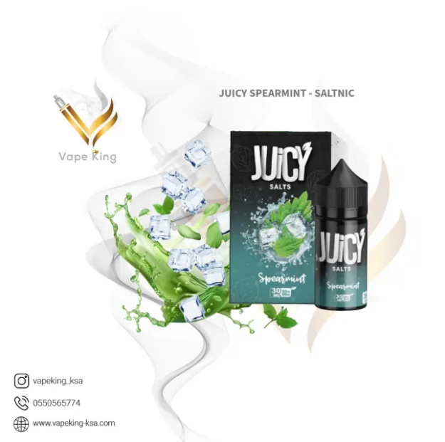 juicy-spearmint-saltnic