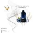lost-mary-VIZ-40000-puffs-disposable-device-blueberry-ice